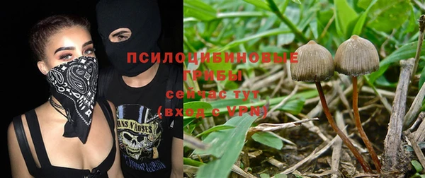 mix Алексеевка