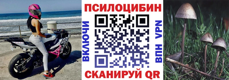 Псилоцибиновые грибы MAGIC MUSHROOMS  как найти закладки  Чадан 